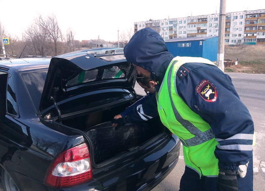 Анапчанин открыл багажник, а там 230 килограммов кефали