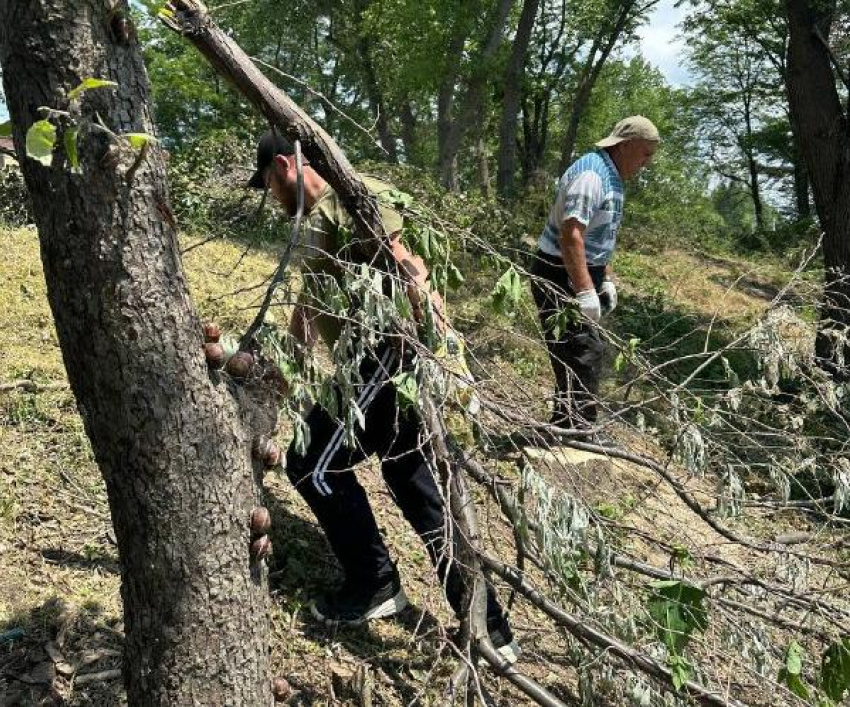24 июня в Пятихатках под Анапой пройдёт очередной субботник