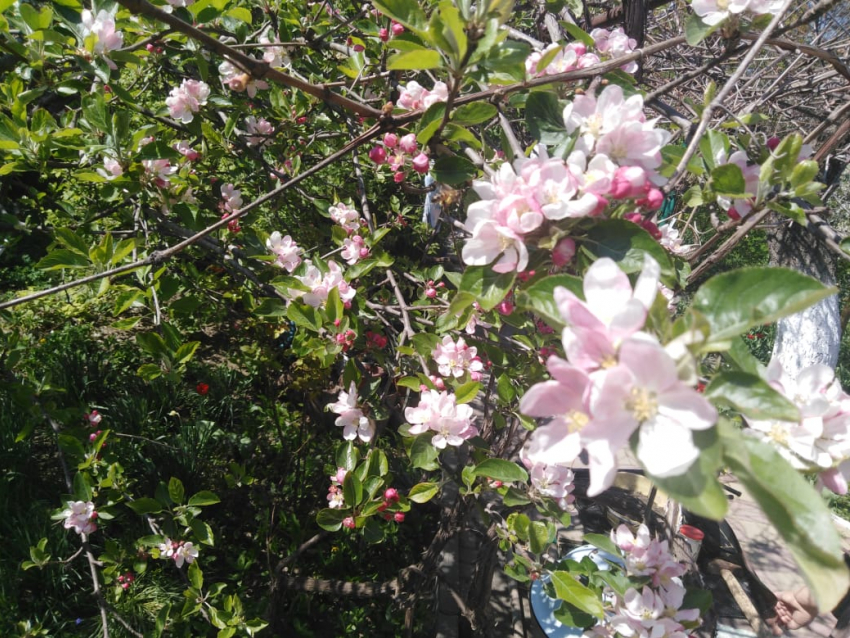 В четверг небо в Анапе прояснится