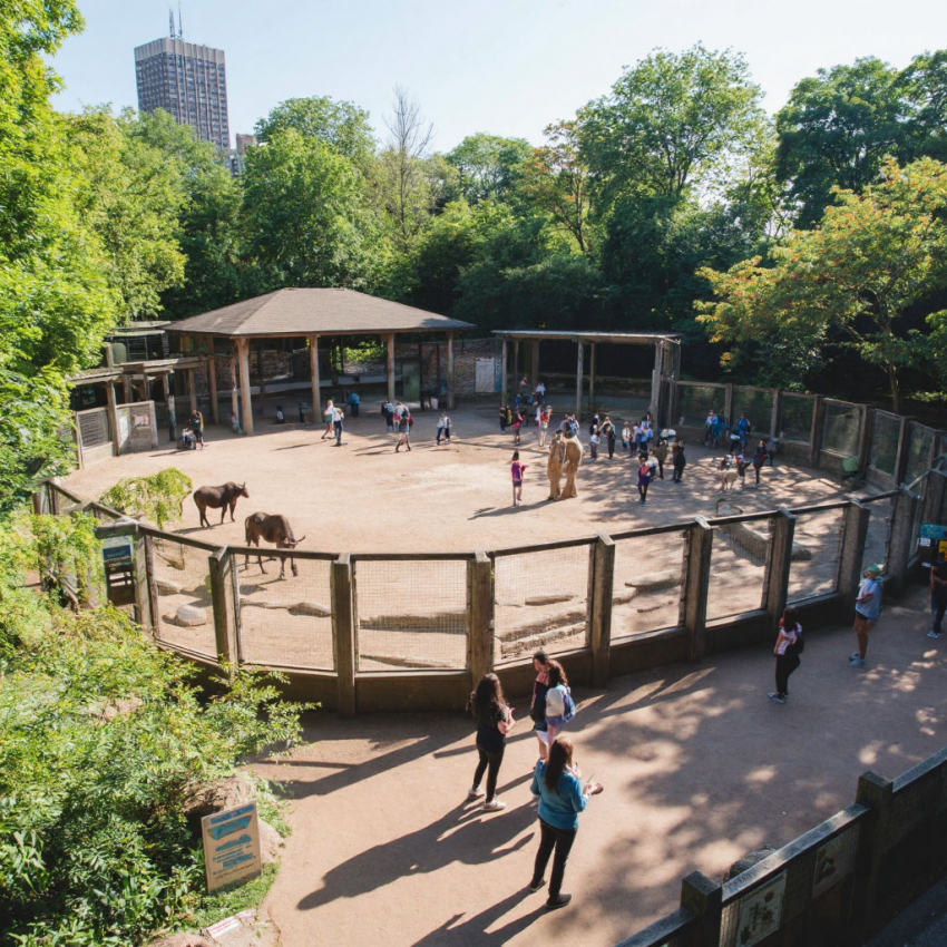 Деятельность зоопарка в Анапе приостановлена по решению суда