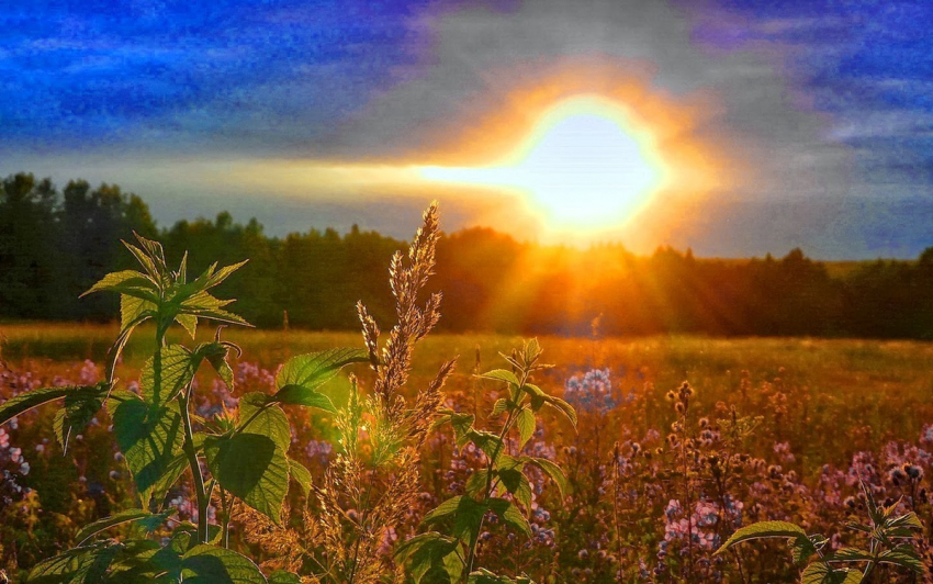 Сегодня, 20 июля, в Анапе жара до +30