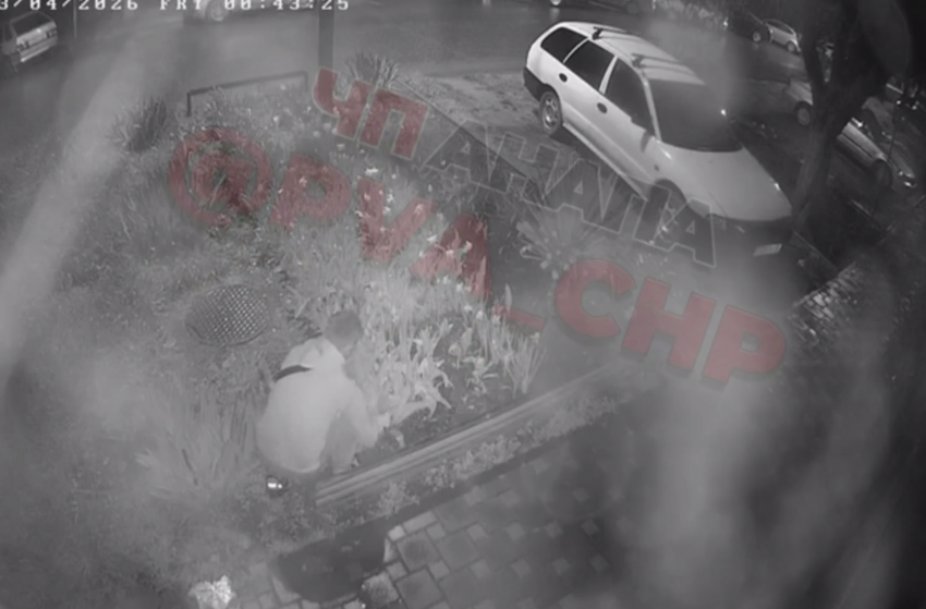 «Сезон обдирания открыт»: в Анапе неизвестные сорвали с чужой клумбы около 30 цветов