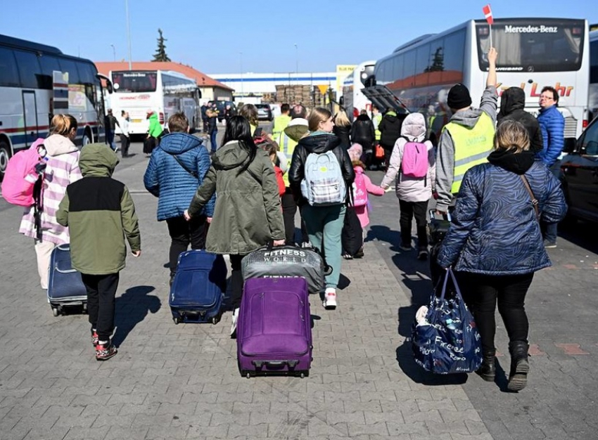 Лишь 2 процента беженцев из Херсона уезжают из Анапы