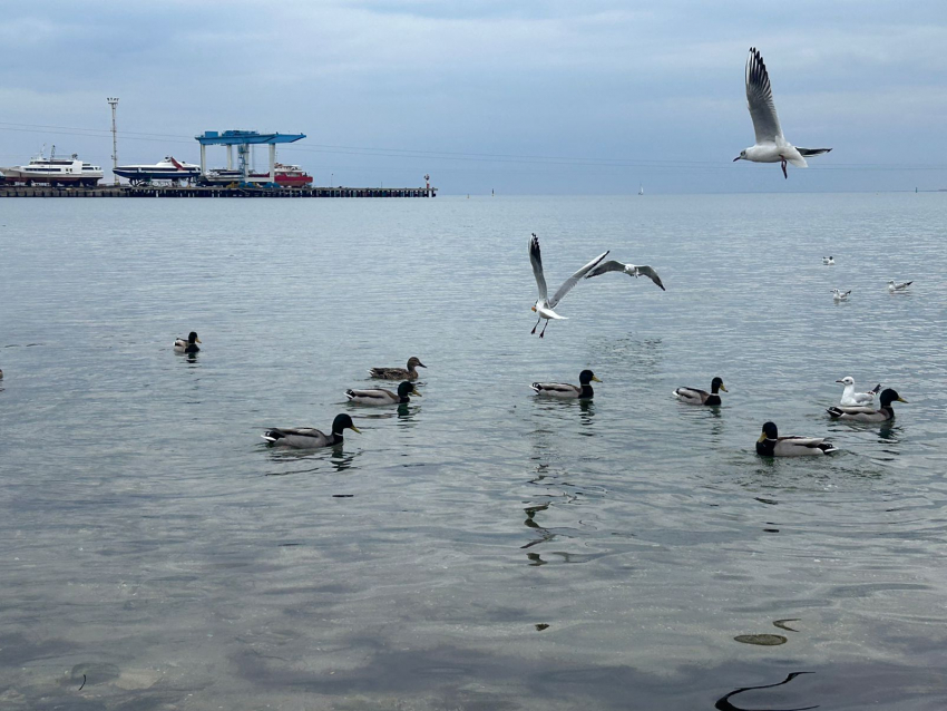 День работника культуры в Анапе будет облачным