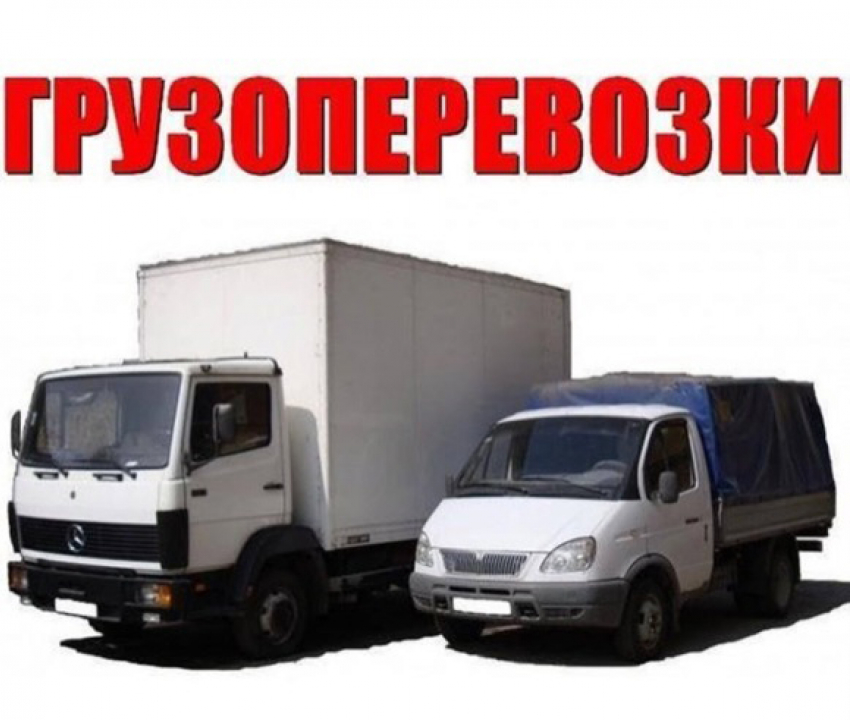 Автоуслуги от 450 рублей!