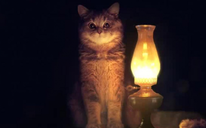 На несколько часов жителям под Анапой отключат электричество