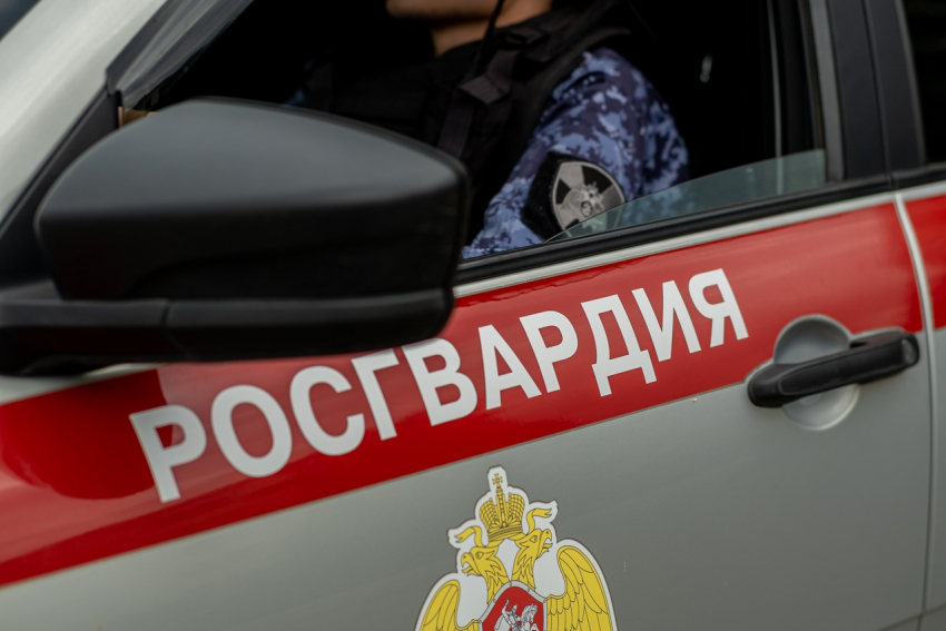 Пьяный хулиган пытался украсть алкоголь из магазина в Анапе