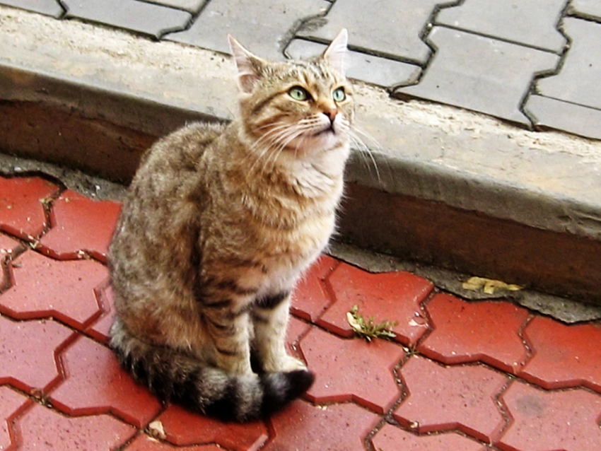 Погода в Анапе на воскресенье