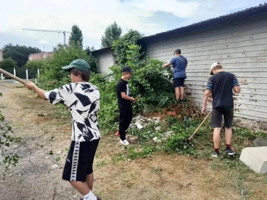 В Анапе за полгода трудоустроили 342 подростка. Работодатели готовы взять на работу ещё 561 школьника