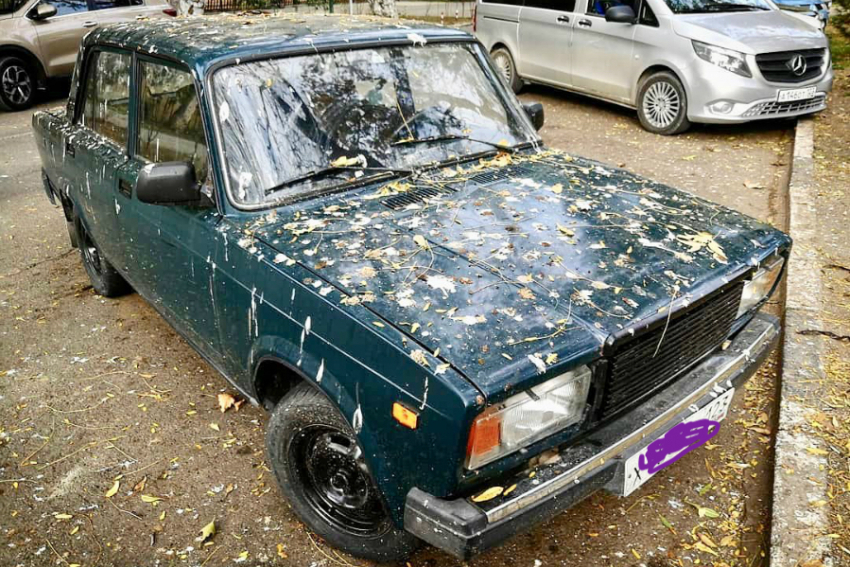 В Анапе фартит не всем. Грачи обгадили машину, теперь её автовладелец станет богатым