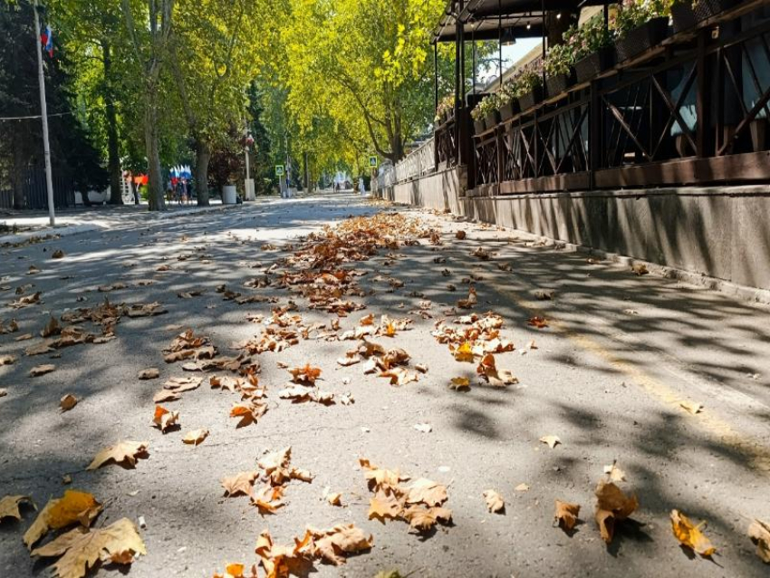 Воскресенье в Анапе: календарное лето уходит, бархатный сезон на подходе