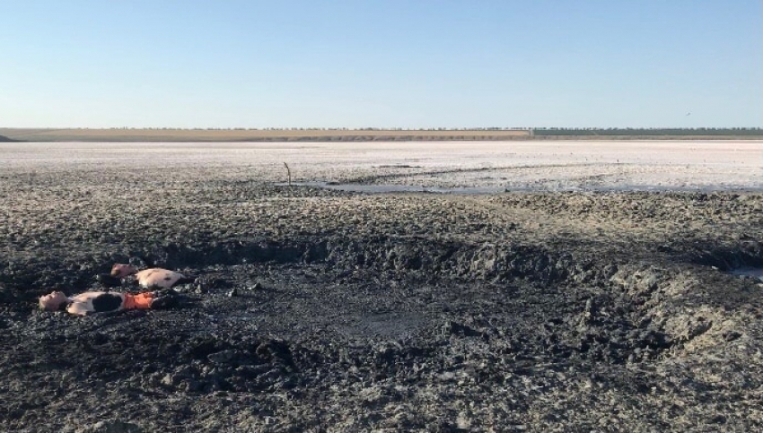 Секреты Солёного озера под Анапой: как природная грязь прославила курорт на всю страну?