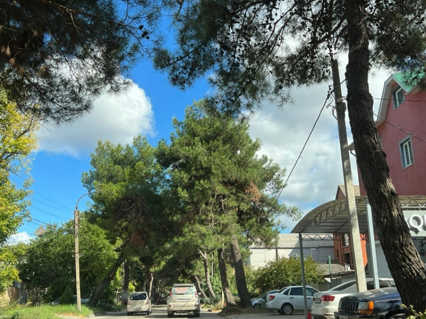 День работников заповедного дела порадует анапчан солнечной погодой