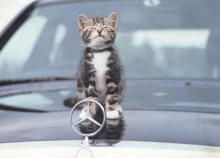 28 января в Анапе пасмурно и довольно прохладно