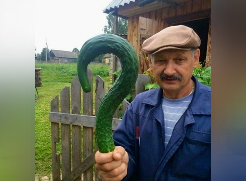 Когда назрел вопрос...