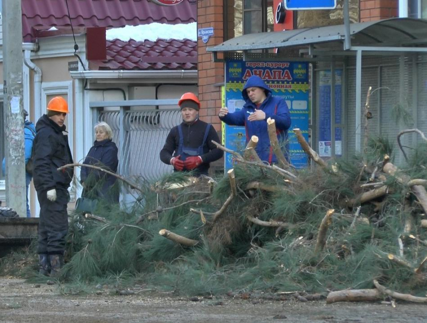 В Анапе на Крымской спиливают аварийные деревья