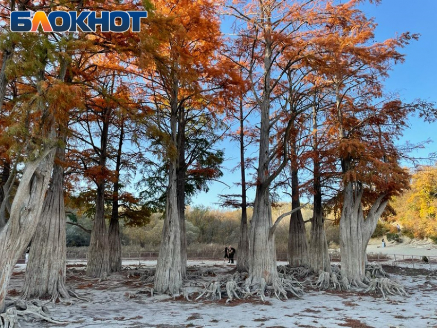 В День любви к тёплым носкам в Анапе будет малооблачно