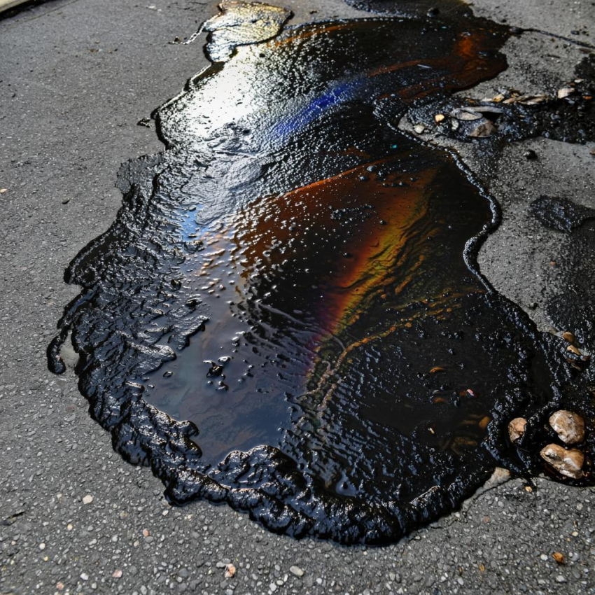 Эколог высказал мнение, куда делось пятно из мазута в 900 тонн 