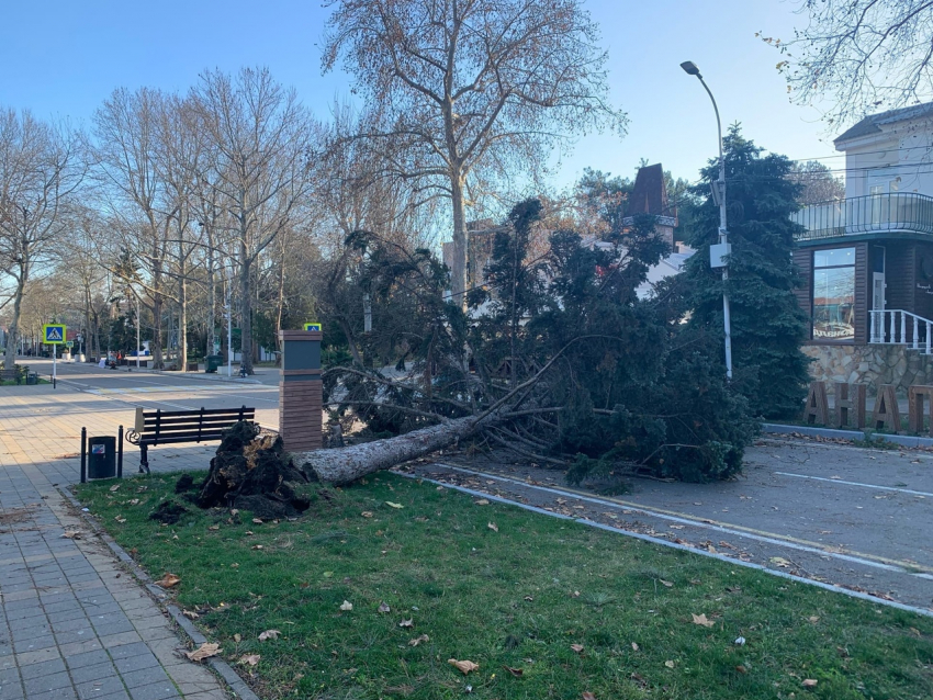 Что натворил ночной ураган в Анапе