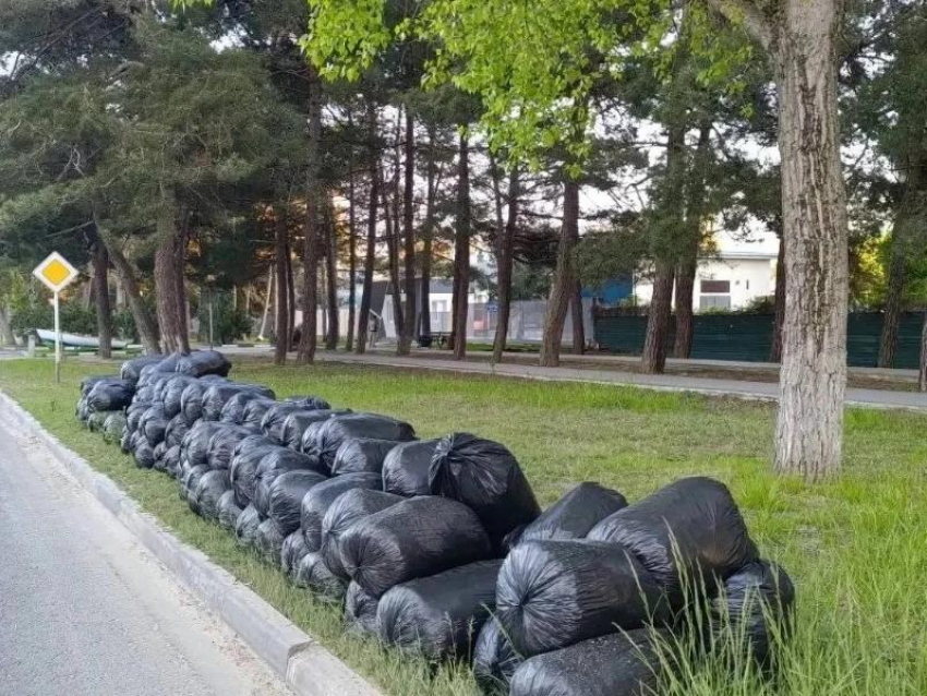 Анапа выходит на пик санитарной подготовки к курортному сезону