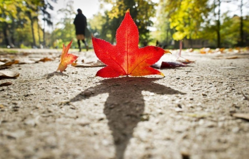 Сегодня, 9 октября, в Анапе тепло, как и вчера