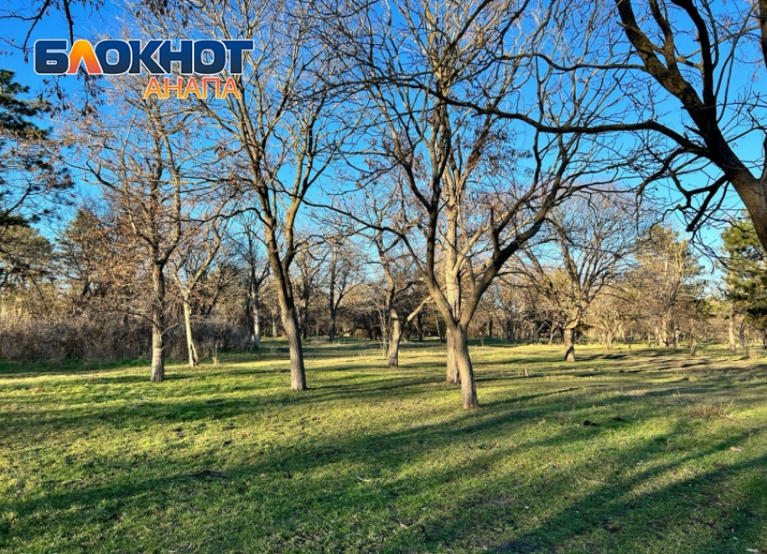 В День «давайте смеяться» в Анапе будет солнечно и тепло