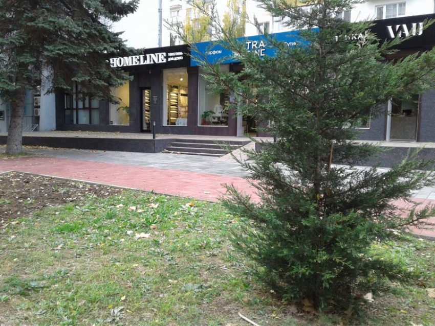 В День путешественника во времени в Анапе пасмурно и тепло