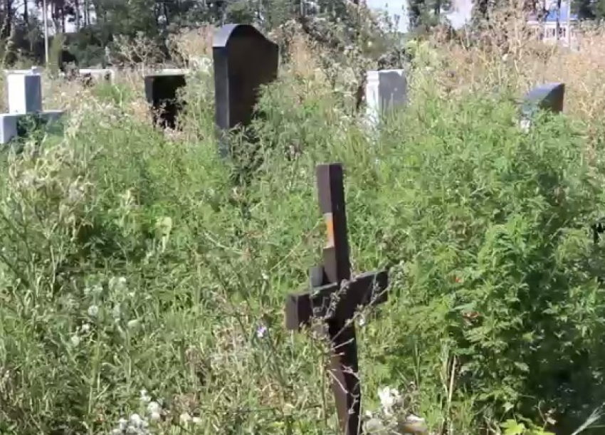 «Свои могилы убирайте сами», или как кладбище в Анапе зарастает сорняками