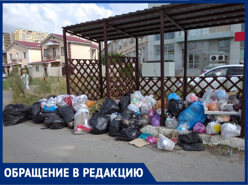 На улице Садовой в Алексеевке завалены мусором контейнерная площадка и территория рядом