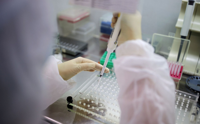 В Анапе зарегистрировано сразу 7 случаев заражения коронавирусом за сутки