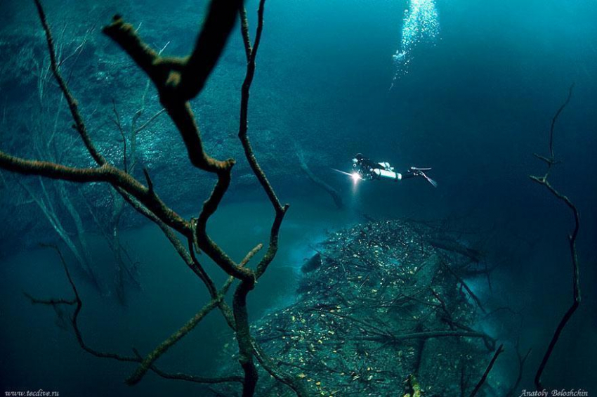 В Чёрном море обнаружили подводную реку