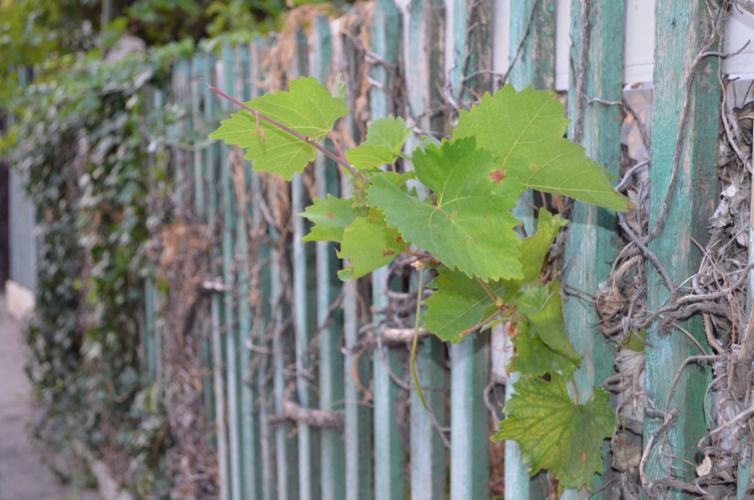 В воскресенье, 10 ноября, в Анапе до +20