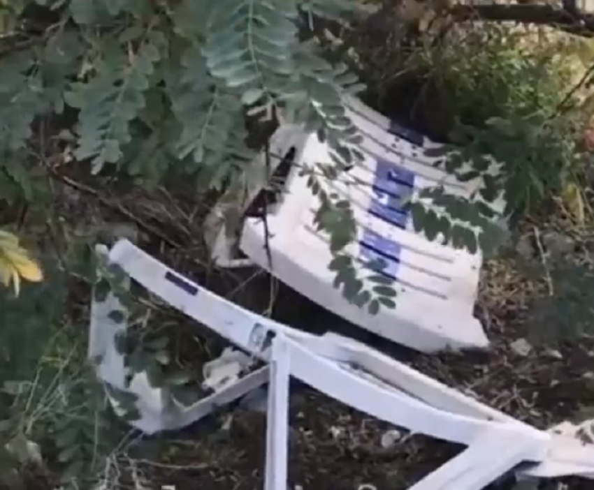 Видео с заваленным мусором берегом Анапы возмутило россиян