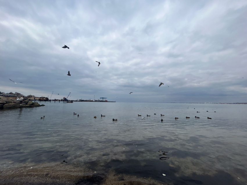 В День смеха в Анапе пасмурно