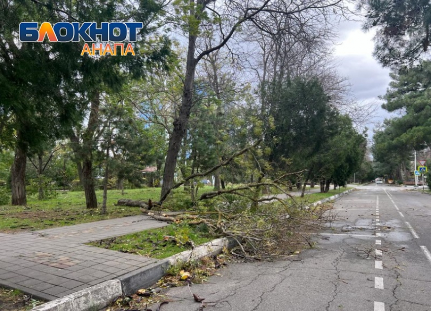 В Анапе продолжается ликвидация последствий урагана и шторма 