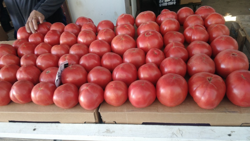 Вот и лето пришло: в Анапе огурцы по 20, а помидоры - по 80 рублей