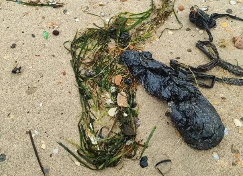 Волонтеры нашли небольшие выбросы мазута в Анапе