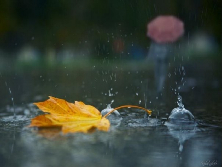 Небольшой дождь в Анапе обещают синоптики 14 октября 