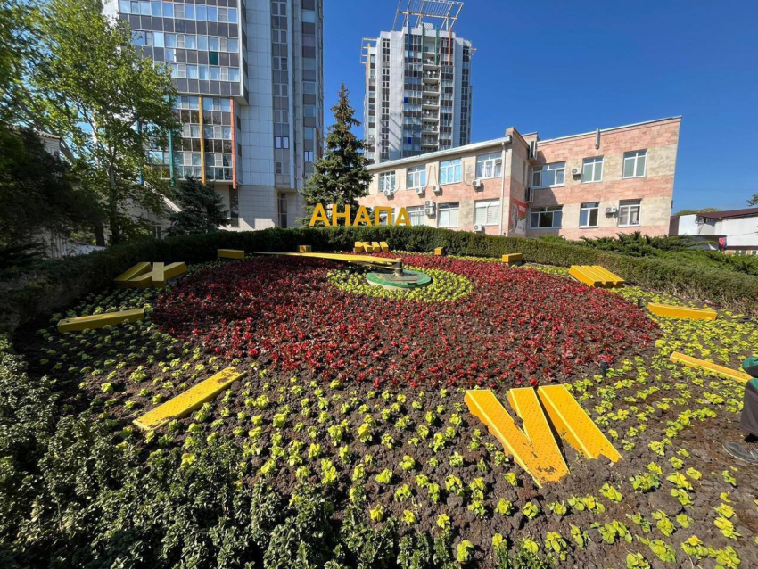 В Анапе к курортному сезону высадят более 100 тысяч цветов