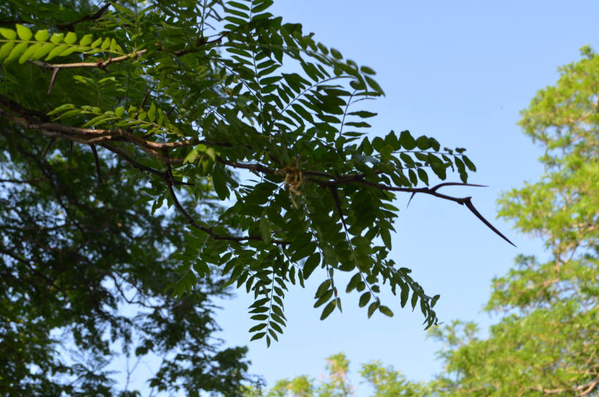 Новая рабочая неделя в Анапе начнётся с солнечного дня