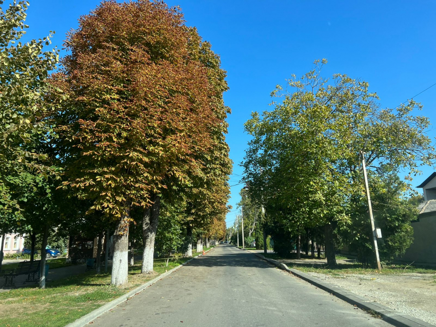 Во Всероссийский день лицеиста в Анапе будет солнечно