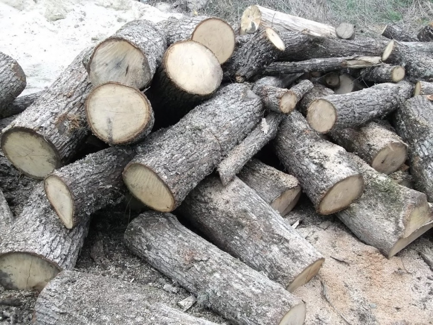 Продаём дрова для печного отопления