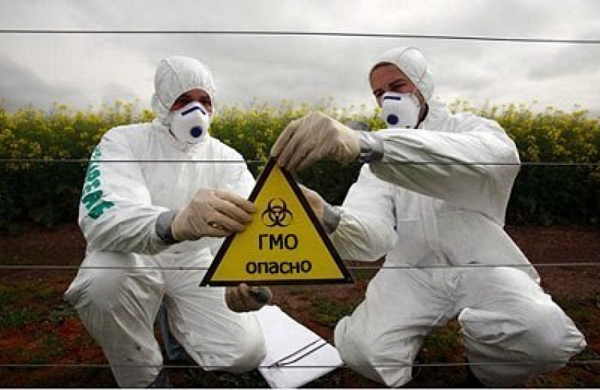 На прилавки Анапы закроют доступ продуктам с ГМО