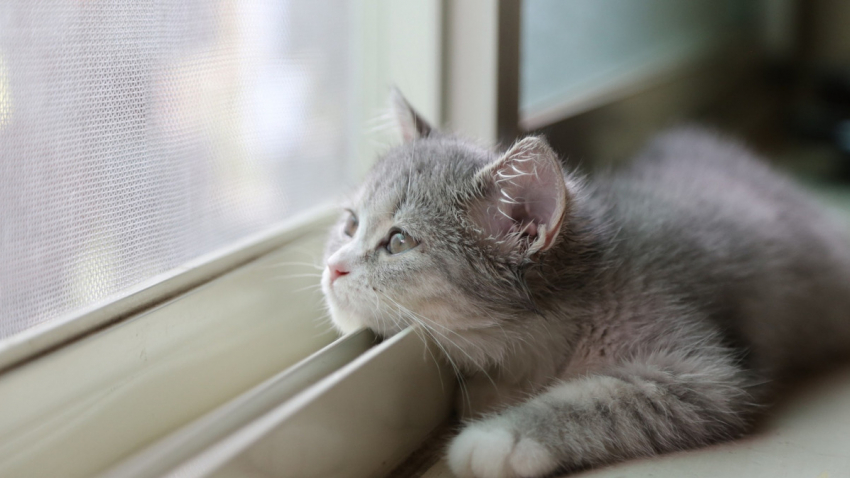 Будет ли снег в Анапе 3 января?