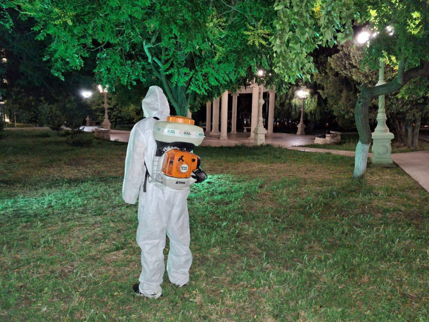 В Анапе проведут ночную обработку территорий от клещей
