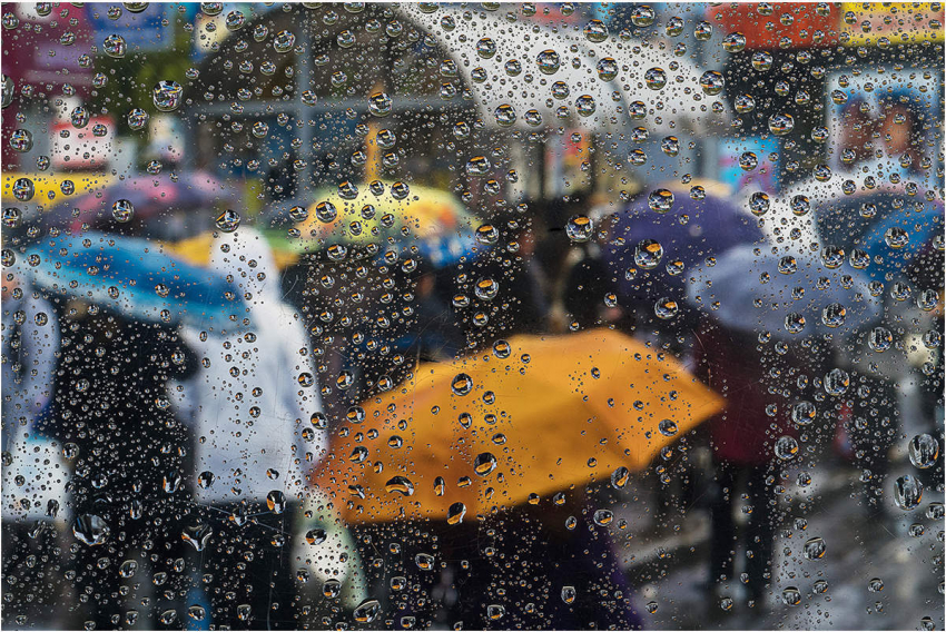 Сегодня, 11 декабря, в Анапе дождливо и до +11