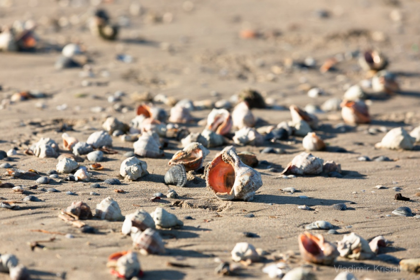 В день рунета в Анапе ожидается тёплая и солнечная погода
