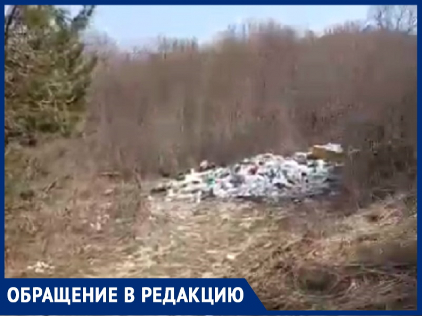 «За свалки на природе надо жестко наказывать» – анапчанка возмущена мусором в лесу