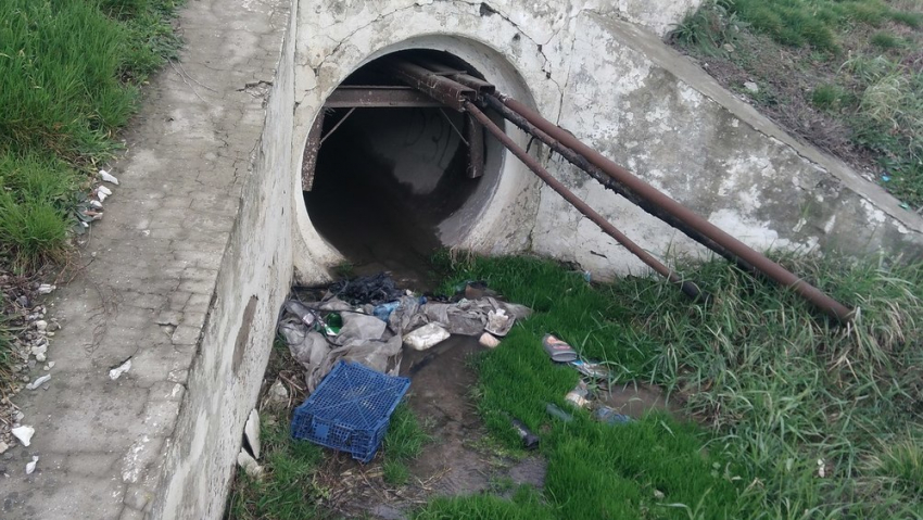 «Люди загадили здесь всё» - анапчанка о лесополосе возле курорта