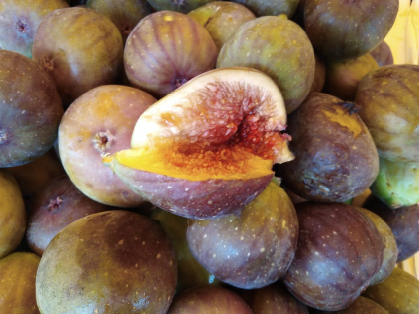 Какие сезонные фрукты можно купить в Анапе в сентябре и почём?